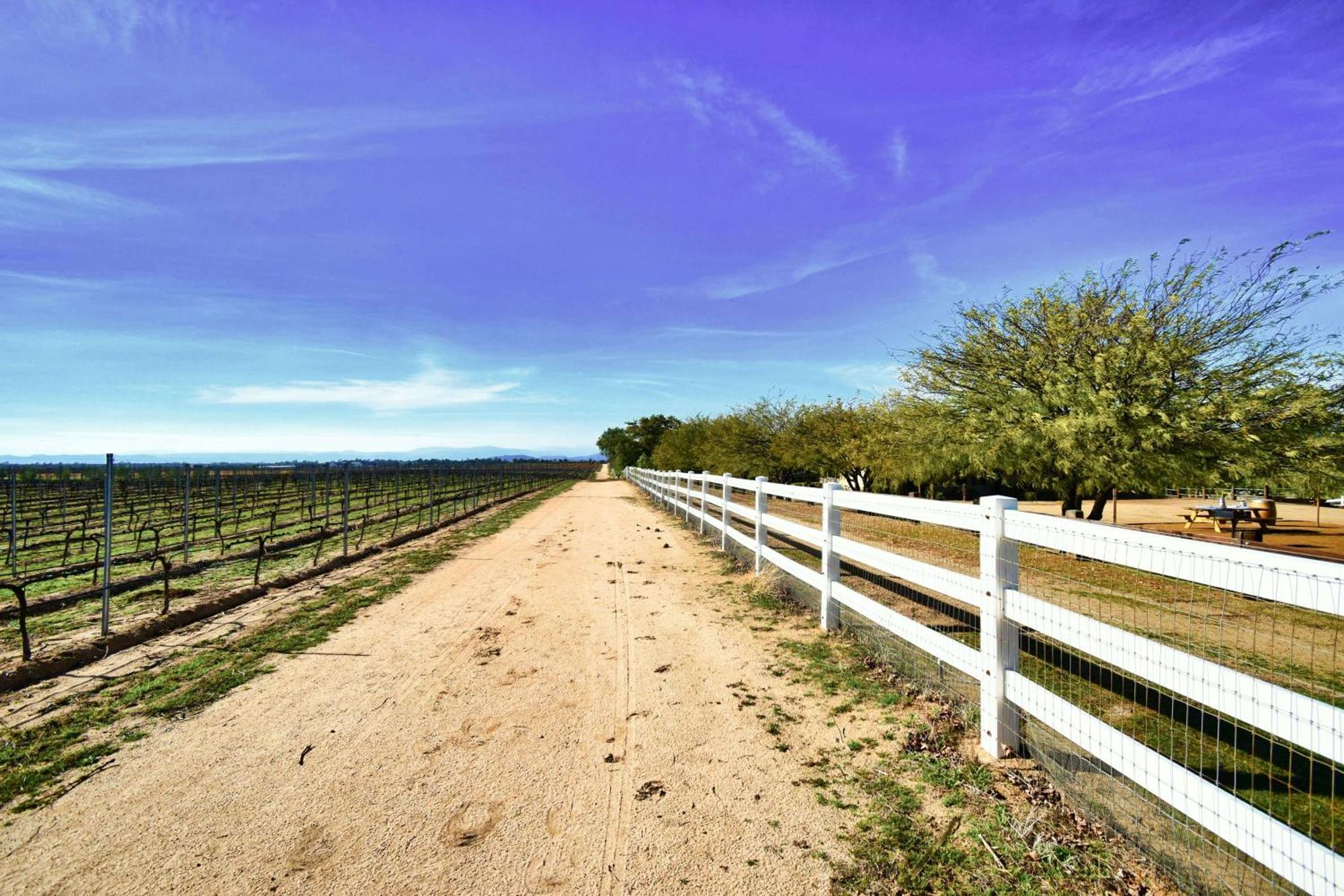 Peppertree Lane Ranch -- Seven-Acre Ranch In The Heart Of Wine Country Hotel Temecula Bagian luar foto